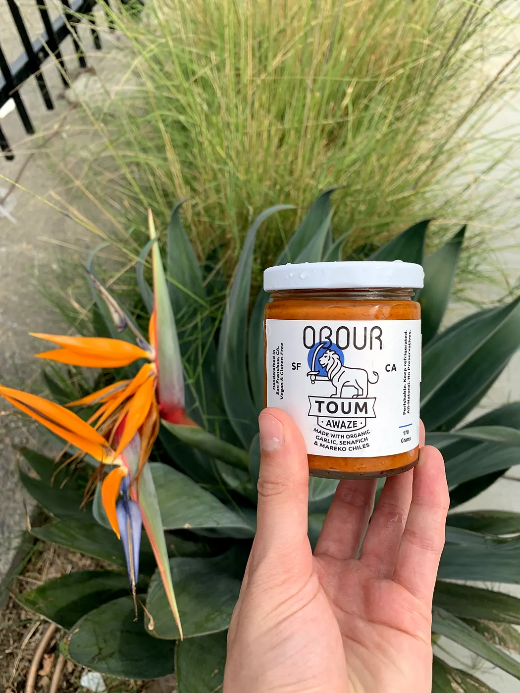 A hand holding a jar of Obour Awaze toum next to a bird of paradise flower