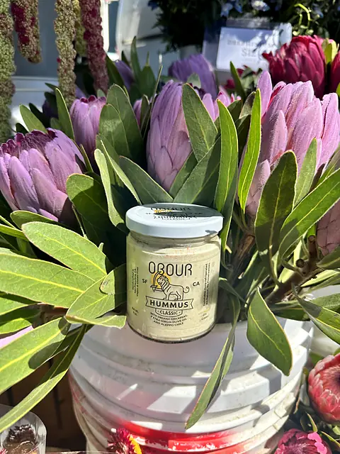 A jar of Obour Classic hummus set among pink protea flowers